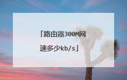 路由器300M网速多少kb/s