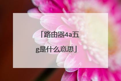 路由器4a五g是什么意思