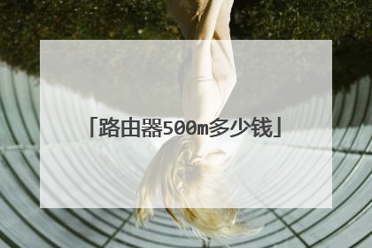 路由器500m多少钱