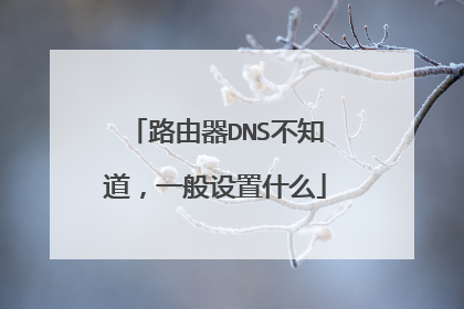 路由器DNS不知道,一般设置什么