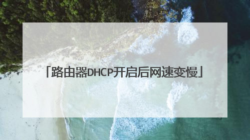 路由器DHCP开启后网速变慢