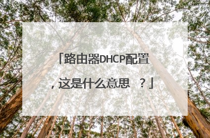 路由器DHCP配置,这是什么意思 ?