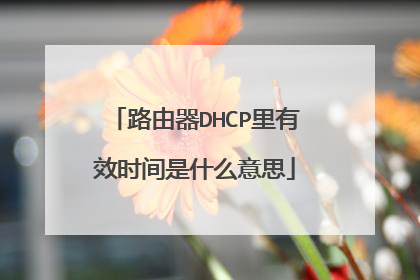 路由器DHCP里有效时间是什么意思