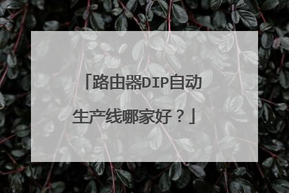 路由器DIP自动生产线哪家好？