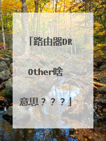 路由器DROther啥意思???
