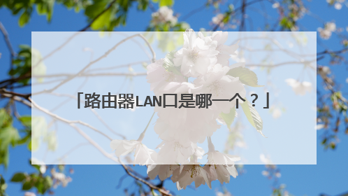 路由器LAN口是哪一个?