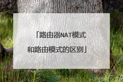 路由器NAT模式和路由模式的区别