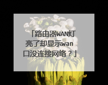路由器WAN灯亮了却显示wan口没连接网络?