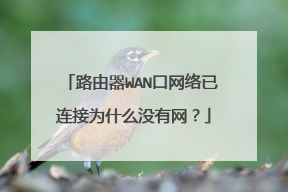路由器WAN口网络已连接为什么没有网？
