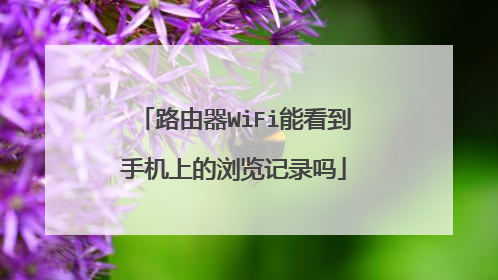路由器WiFi能看到手机上的浏览记录吗