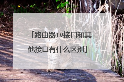 路由器TV接口和其他接口有什么区别