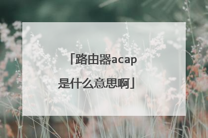 路由器acap是什么意思啊