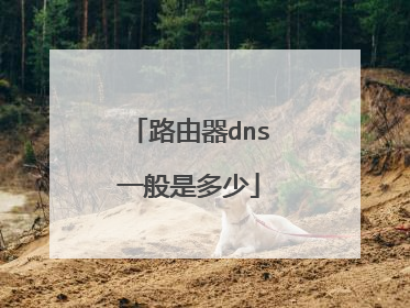 路由器dns一般是多少