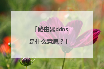 路由器ddns是什么意思?
