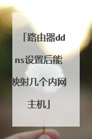 路由器ddns设置后能映射几个内网主机