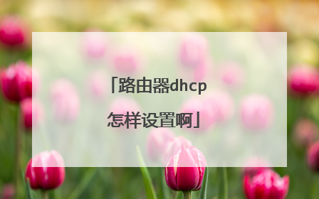 路由器dhcp 怎样设置啊