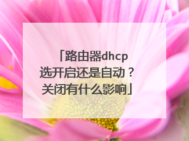路由器dhcp选开启还是自动？关闭有什么影响