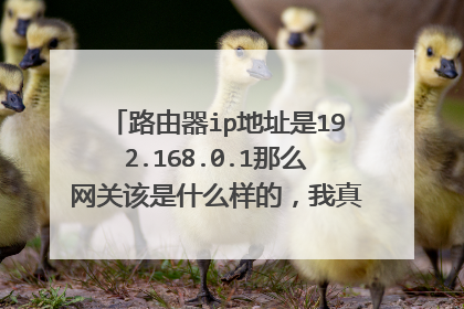 路由器ip地址是192.168.0.1那么网关该是什么样的，我真是有点搞不懂了在手机上设置的，谢谢