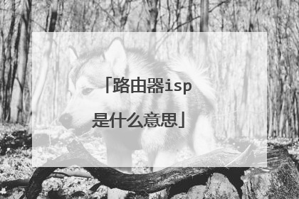 路由器isp是什么意思