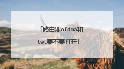 路由器ofdma和twt要不要打开