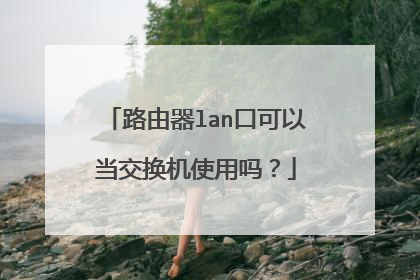 路由器lan口可以当交换机使用吗?