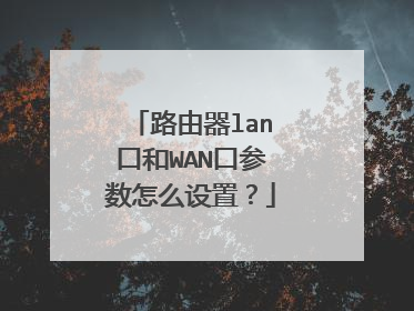 路由器lan口和WAN口参数怎么设置?