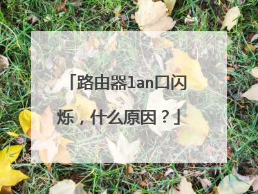 路由器lan口闪烁,什么原因?