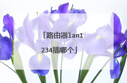 路由器lan1234插哪个