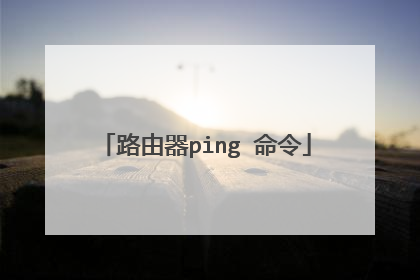 路由器ping 命令