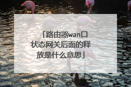路由器wan口状态网关后面的释放是什么意思