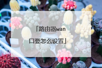 路由器wan口要怎么设置