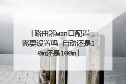 路由器wan口配置,需要设置吗 自动还是10m还是100m