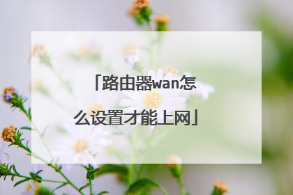 路由器wan怎么设置才能上网