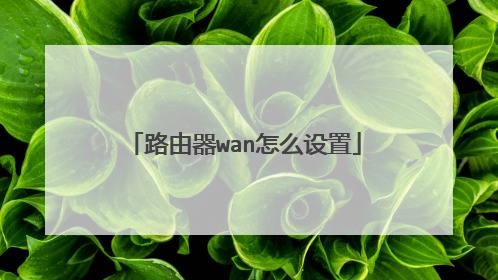 路由器wan怎么设置