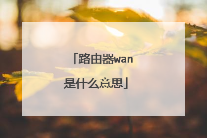 路由器wan是什么意思