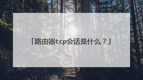 路由器tcp会话是什么?