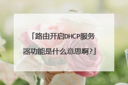 路由开启DHCP服务器功能是什么意思啊?