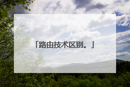 路由技术区别。