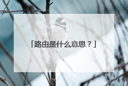 路由是什么意思?
