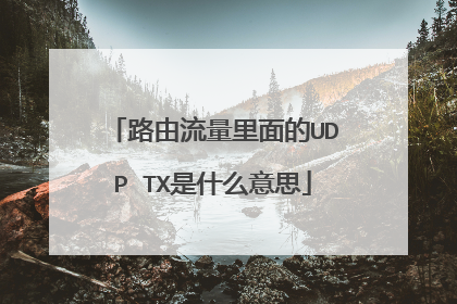 路由流量里面的UDP TX是什么意思