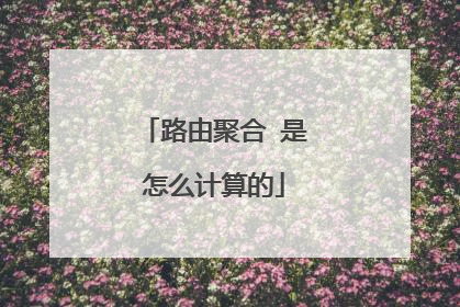 路由聚合 是怎么计算的