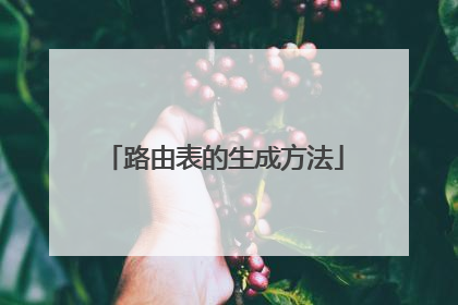 路由表的生成方法