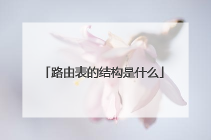 路由表的结构是什么
