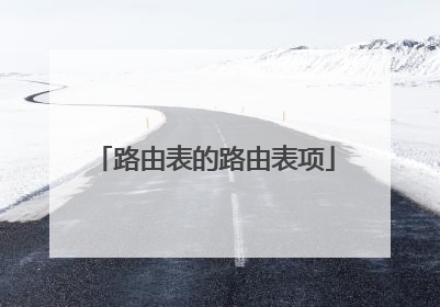 路由表的路由表项