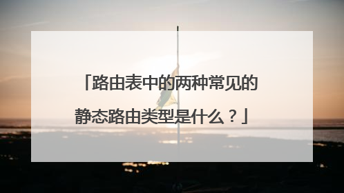 路由表中的两种常见的静态路由类型是什么？