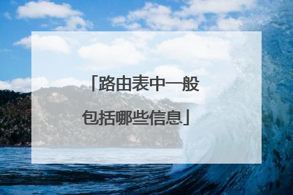 路由表中一般包括哪些信息
