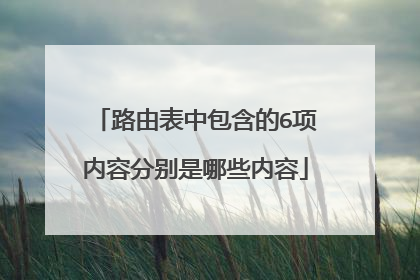路由表中包含的6项内容分别是哪些内容