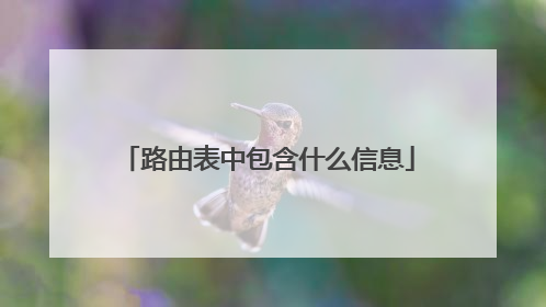 路由表中包含什么信息