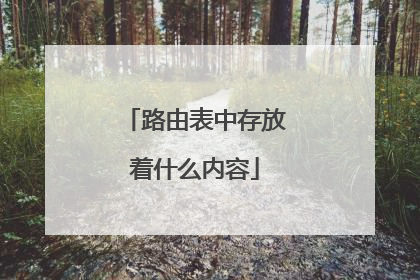 路由表中存放着什么内容