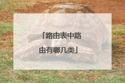 路由表中路由有哪几类